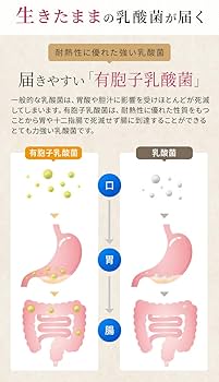 Amazon | 【16種類3兆個 の 生きた乳酸菌】 乳酸菌 革命 健康